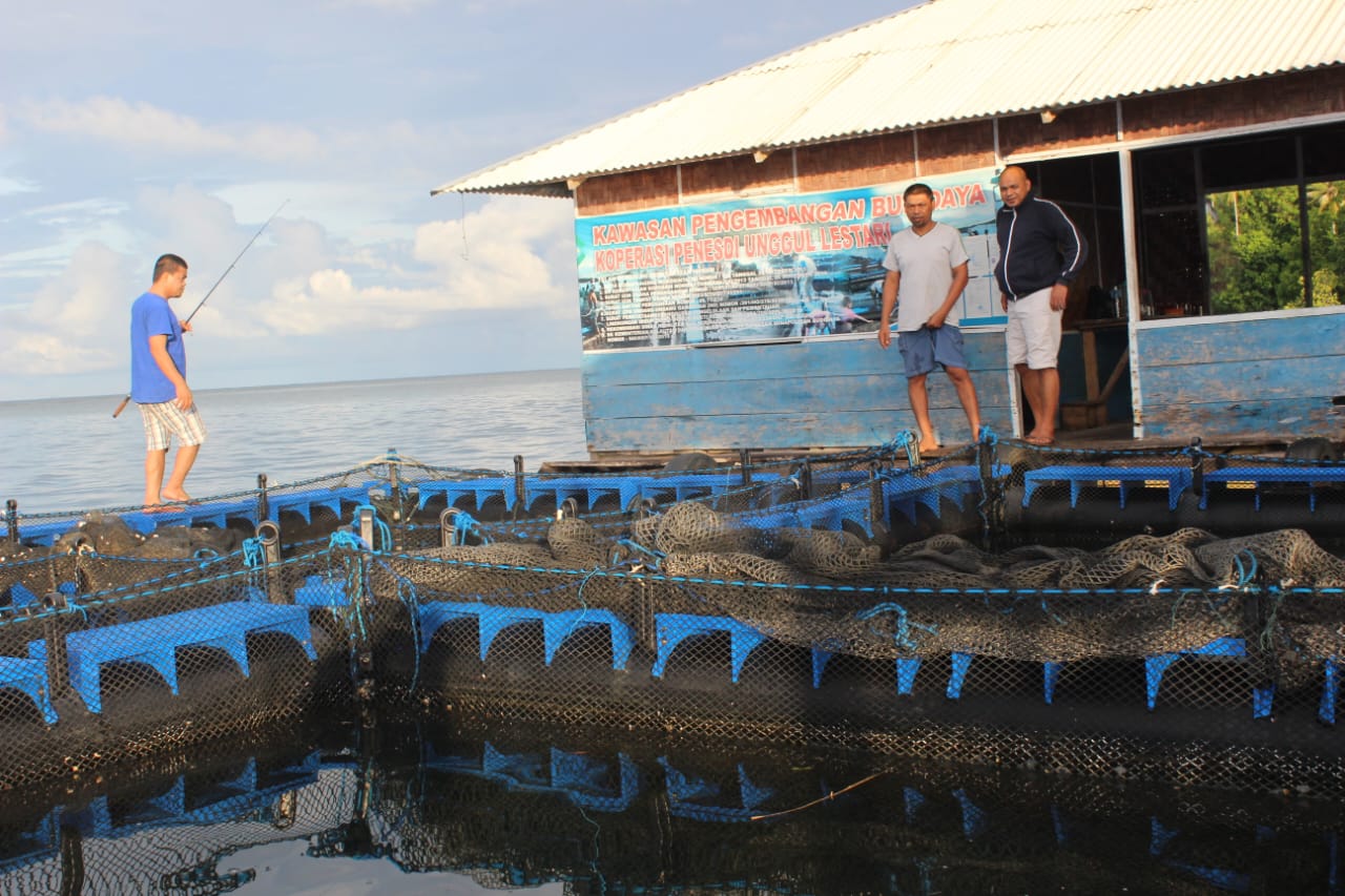 Pendampingan Masyarakat